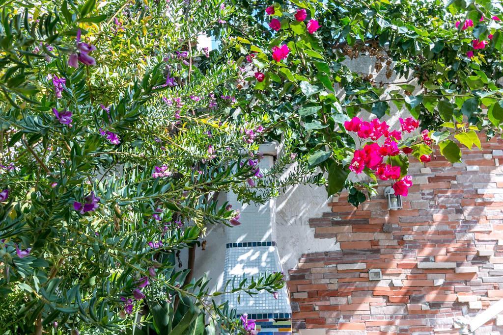 Villino Claudia 30 Mt Mare Villa Porto Cesareo Eksteriør bilde